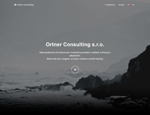 Web ortnerconsulting.cz